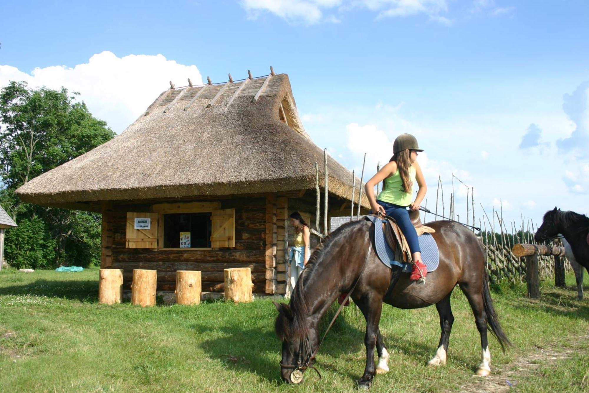 Anni Tourism Farm Villa Tammese Ngoại thất bức ảnh